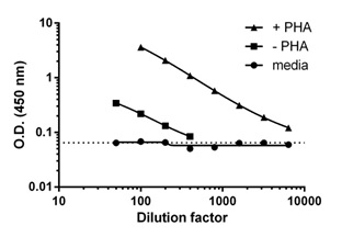 PBMC were grown in the absence or presence of phytohemagglutinin (PHA) for 2 days. MDC was measured in a dilution series of cell culture supernatants of the PHA stimulated PBMC, unstimulated PBMC and media. Raw data values (mean +/-SD, n=2) are graphed. The dotted line represents zero sample background.