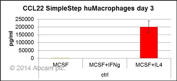 Data shows specific secretion of MDC (CCL22) by human macrophages differentiated in culture for 3 days in presence of MCSF + IL4.