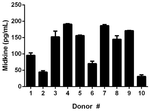 Ten individual healthy donors were evaluated for the presence of Midkine in serum using this assay. Results were interpolated from the standard curve in Sample Diluent 25BP and corrected for sample dilution (1:2). The mean level of Midkine was found at 124.5 pg/mL with a range of 31.2 pg/mL to 191 pg/mL.
