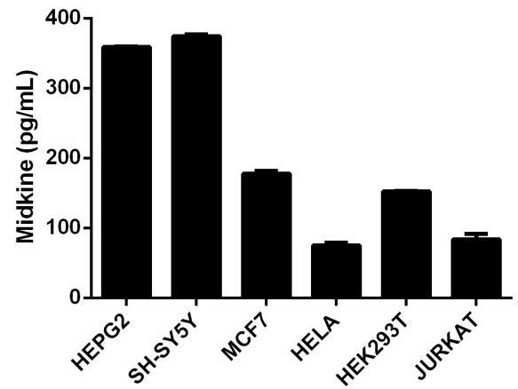 Six different cell lines were loaded at 25 µg/mL in duplicates to evaluate the intracellular levels of Midkine. The cell line with the highest expression of Midkine was SH SY5Y with 374 pg/mL and the lowest expression cell line was HeLa with 78.5 pg/mL