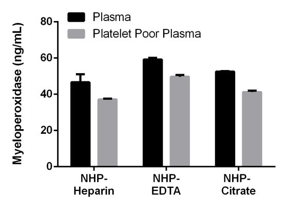 Myeloperoxidase is released from neutrophils upon exposure to activated platelets. Use platelet poor plasma’s for measuring circulating levels of Myeloperoxidase. The concentrations of Myeloperoxidase were measured in duplicate and interpolated from the Myeloperoxidase standard curve and corrected for sample dilution. The interpolated dilution factor corrected values are plotted (mean +/- SD, n=2).