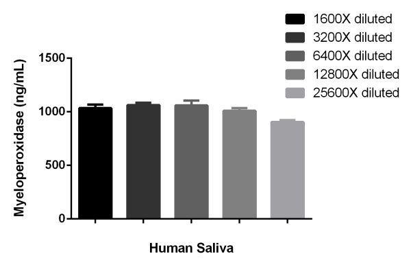The concentrations of Myeloperoxidase were measured in duplicate and interpolated from the Myeloperoxidase standard curve and corrected for sample dilution. The interpolated dilution factor corrected values are plotted (mean +/- SD, n=2). The mean Myeloperoxidase concentration was determined to be 1042 ng/mL in Human saliva.