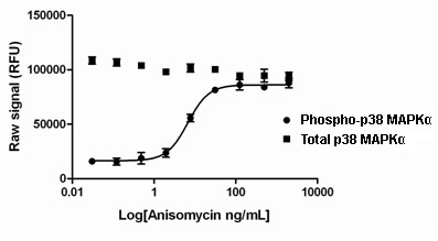 PhosphoTracer p38 MAPKalpha (pT180/Y182) ELISA Kit (ab119638) used in Sandwich ELISA.