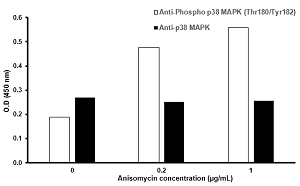 HeLa cells were stimulated by different concentrations of anisomycin for 1 hour at 37°C.