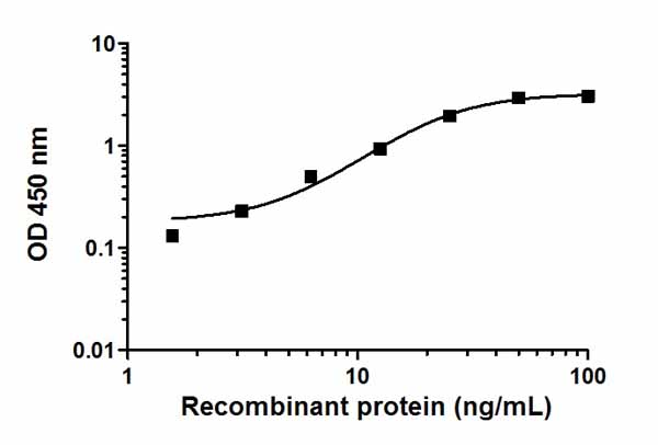 Example of a typical p38 MAPKα recombinant protein standard curve. Raw data values are shown in the table. Background-subtracted data values (mean +/- SD) are graphed.