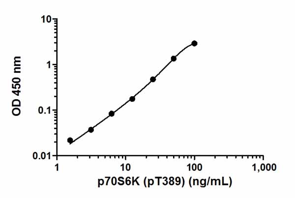 Example of a typical p70S6K (pT389) recombinant protein standard curve. The proportion of total protein that is phosphorylated is unknown - data is indicative only. Background-subtracted data values (mean +/- SD) are graphed.