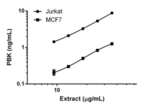 The concentrations of PBK protein were interpolated from the PBK standard curve and plotted against the extract load.