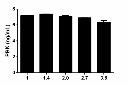 The concentrations of PBK protein were interpolated from the PBK standard curve and corrected for sample dilution relative to extract load of 35.7 µg/mL. The mean PBK concentration was determined to be 6.95 ng/mL in A431 extract at 35.7 µg/mL.