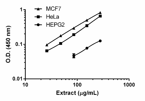 Background subtracted data from duplicate measurements are plotted.