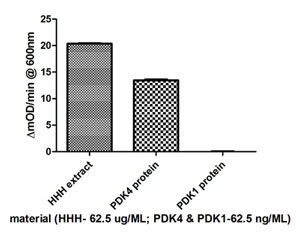 Assay Specificity was determined by using human PDK1 recombinant protein as negative control.