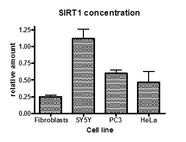 The expression level of SIRT1 varies by cell type. Four cell types are analyzed by SIRT1 expression level relative to the Human HepG2 cell line. This relative relationship is confirmed by Western blotting using antibody ab13533.