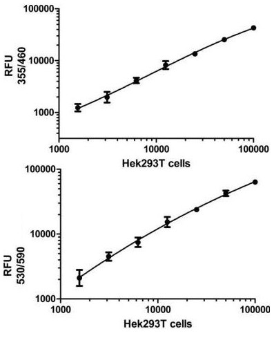 Cells were seeded the day before at the specified cell densities. The signal was obtained using this kit as described. Total SIRT1 (TOP) and SIRT1 pS47 (BOTTOM) are shown after background subtraction.