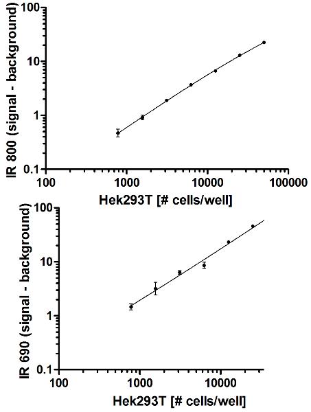 Cells were seeded the day before at the specified cell densities. The signal was obtained using this kit as described. Total SIRT1 (TOP) and SIRT1 phospho S47 (BOTTOM) are shown after background subtraction.