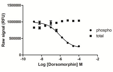 C2C12 cells were seeded at 5K cells/well in a 96 well tissue culture microplate overnight. The next day cells were serum starved for 60 minutes, then treated with various concentrations of dorsomorphin for 30 mins. Subsequently, the cells stimulated with 50 ng/mL BMP-4 for 30 min. The medium was removed from the wells, and cells were lysed with 120 µl/well of Lysis Mix, with shaking for 10 min. The lysates were transferred to a PhosphoTracer assay plate and assayed for either total or phospho-SMAD1, using the standard protocol. Signal in the wells was determined using a plate reader.