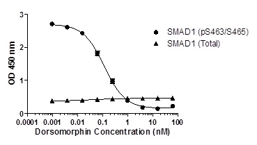 Inhibition of SMAD1 (pS463/S465) phosphorylation in HeLa cells in response to dorsomorphin treatment. HeLa cells were cultured in 96-well tissue culture plates and treated with a dose-range of dorsomorphin (30 min). Cells were then stimulated with BMP-4 (30 min) and lysed. Data from quadruplicate measurements of SMAD1 (pS463/S465) and SMAD1 (Total) are plotted.