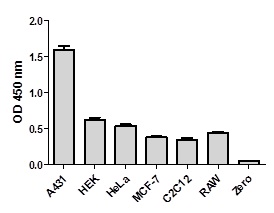 Cell line analysis for Total SMAD1 from 300 µg/mL preparations of cell extracts. Data from triplicate measurements (mean +/- SD) are plotted and compared to 1X Cell Extraction Buffer PTR (zero).