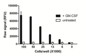 Using the PhosphoTracer phospho-STAT5 all-in-one-well assay protocol, the amount of THP-1 cells required to detect STAT5 in GM-CSF-treated cells was examined. THP-1 cells were resuspended at 5x106 cells/mL in HBSS/5% FBS, and incubated at 37°C for 1 h. Cells (20 µL) were then seeded at various densities in a rinsed PhosphoTracer assay plate, and stimulated with 20 µL of 20 ng/mL GM-CSF for 10 mins. Cells were lysed using freshly prepared Lysis Mix Concentrate, with shaking for 10 min, and analyzed for phospho-STAT5 using the PhosphoTracer protocol.