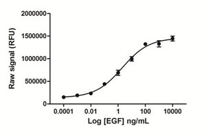 Day 1: A431 cells were seeded at 25K/well in a 96 well tissue culture plate in medium containing 10% FBS. Day 2: The cells were stimulated with various concentrations of EGF for 15 minutes. The media was removed, and the cells were lysed with 125 µL/well freshly prepared Lysis Mix, with shaking for 10 min. Lysates (50 µL) were transferred to a PhosphoTracer assay plate and analyzed for either phospho STAT5 using the standard PhosphoTracer protocol. Briefly, Antibody Mix specific for phospho-STAT5 (50 µL/well), was added to the lysate, and the plate was incubated for 1 hr at room temp, with shaking. The plate was washed and Substrate Mix was added to the wells. The plate was covered in foil and incubated for 10 min with shaking. Signal in the wells was determined using a plate reader.