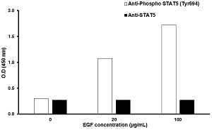A431 cells were stimulated by different concentrations of EGF for 10 minutes at 37°C. 