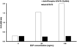 A431 cells were stimulated by different concentrations of EGF for 30 minutes at 37°C.