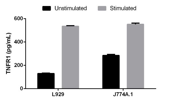 L929 and J774A.1 cells were grown in the absence (unstimulated) or presence of Phorbol Myristate Acetate (PMA) and phytohemagglutinin (PHA) (stimulated) for 3 days. sTNF RI was measured in 2-fold diluted cell culture supernatants of unstimulated and PMA/PHA stimulated L929 and J774A.1 and cell culture media. Measured values were interpolated from the sTNF RI Standard Curve diluted in Sample Diluent NS and corrected for dilution factor. Mean of duplicate values +/-SD are graphed. sTNF RI is undetectable in media.