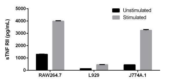 Cells were grown in the absence (unstimulated) or presence of Phorbol Myristate Acetate (PMA) and phytohemagglutinin (PHA) (stimulated) for 3 days. sTNF RII was measured in 2-fold diluted cell culture supernatants of unstimulated and PMA/PHA stimulated RAW264.7, L929, an J774A.1 and cell culture media. Measured values were interpolated from the sTNF RII Standard Curve diluted in Sample Diluent NS and corrected for dilution factor. Mean of duplicate values +/-SD are graphed. sTNF RII was undetectable in media.