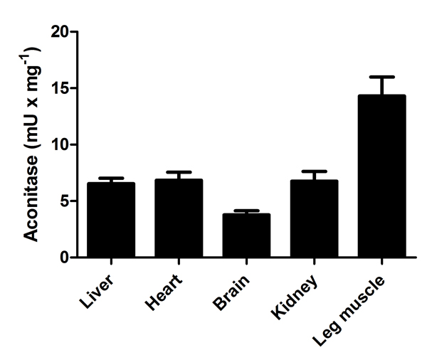 Aconitase measured in mouse tissue lysates showing quantity (mU) per mg of tested sample.