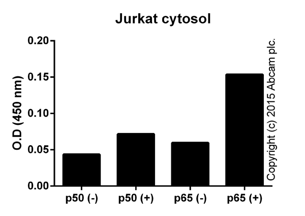 Jurkat cells were treated with 50 ng x mL-1 PMA (ab120297) and 1 uM ionomycin (ab120116). 50 uL of the cytosolic fraction (ab113474), corresponding to 1e6 cells, were tested.