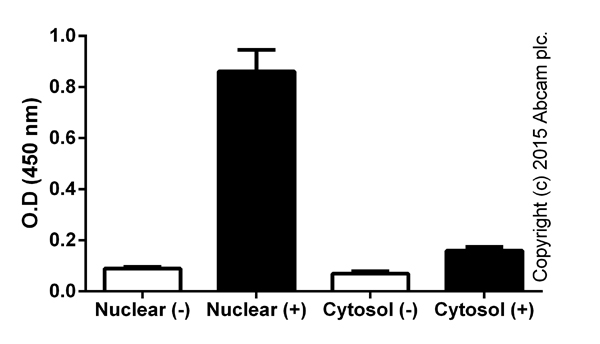 Jurkat cells were treated with PMA and ionomycin (+). Nuclear lysates were extracted (ab113474) and 40 uL, corresponding to 4e6 cells, were tested in duplicates (+/- SD).
