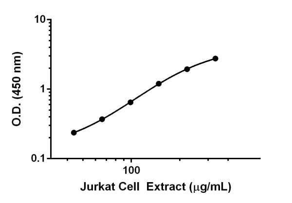 Background-subtracted data values (mean +/- SD, n = 2) are graphed. Quantitation of CD31 expression in Jurkat lysate. Interpolated values of CD31 are plotted based on extract loaded.