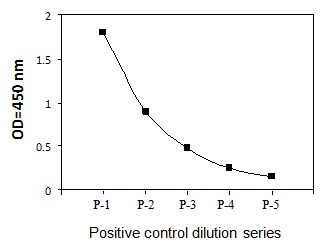 T47D cells were treated with IGF-1 at 37C for 30 min. Solubilize cells at 4 x 10^7 cells/ml in Cell Lysate Buffer. Serial dilutions of lysates were analyzed in this ELISA. Please see step 3 of Part VI Reagent Preparation for detail.