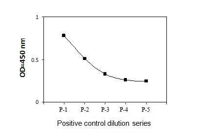 Rictor(Thr1135) - Positive Control
