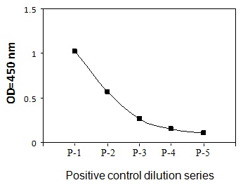 Jurkat cells were treated with H2O2 at 37°C for 2 min. Solubilize cells at 4 x 10^7 cells/ml in Cell Lysate Buffer. Serial dilutions of lysates were analyzed in this ELISA. Please see step 3 of Part VI Reagent Preparation for detail.