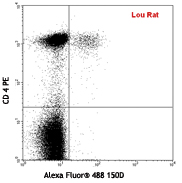 BALB/c mouse (top) or Lou rat (bottom) splenocytes surface stained with anti-mouse CD4 APC or anti-rat CD4 PE, respectively and then intracellular stained with Alexa Fluor® 488 anti-mouse/rat/human FOXP3 Flow Kit. The quadrant markers were set based on Alexa Fluor® 488 mIgG1, κ isotype control.