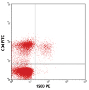 C57BL/6 mouse splenocytes surface stained with CD4 FITC and then intracellular stained with PE anti-mouse/rat/human FOXP3 Flow Kit™ (clone 150D). The quadrant markers were set based on PE mIgG1, κ isotype control