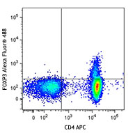 Human peripheral blood was stained with Rapid Human Treg ID Kit. Dot plots are gated on CD3+ (top) or CD3+CD4+ cells (bottom). 