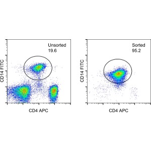 Normal human peripheral blood mononuclear cells were unsorted (left) or sorted with the MagniSort™... View More