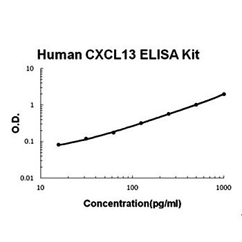 The standard curve illustrates about the dynamic range of Human CXCL13 ELISA Kit using various concentrations.