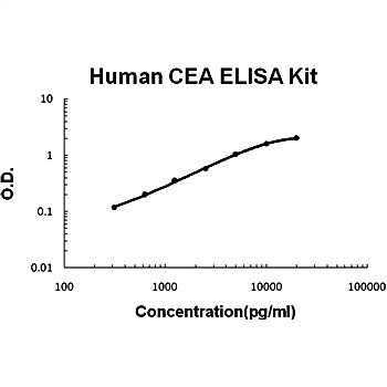 The standard curve illustrates about the dynamic range of Human CEA ELISA Kit using various concentrations.