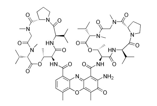 Chemical structure of Actinomycin D.
