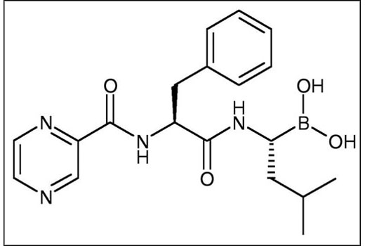 Chemical structure of Bortezomib.