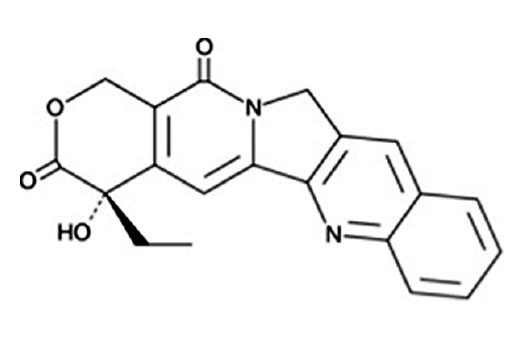 Chemical structure of camptothecin.