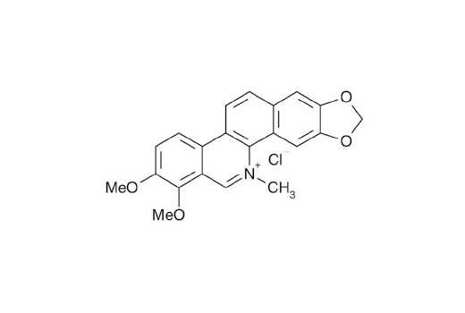 Chemical structure of chelerythrine chloride.