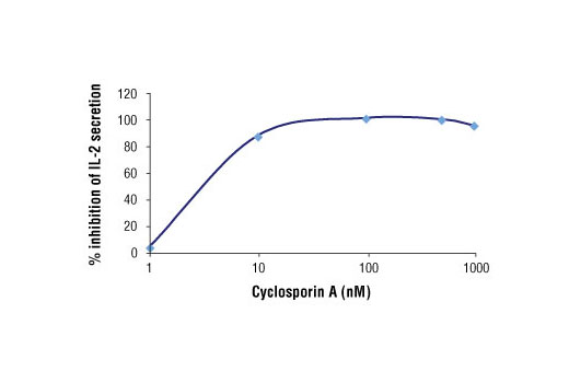 Dose response inhibition of IL-2 by Cyclosporin A in Jurkat cells treated overnight with TPA (40 nM) and A23187 (2 μM).