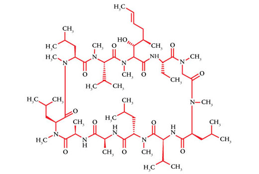 Structure of Cyclosporin A