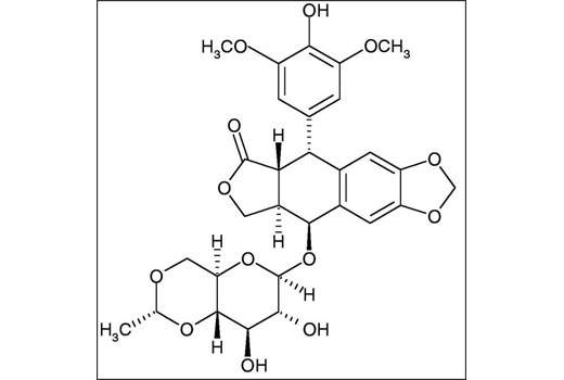Chemical structure of etoposide.