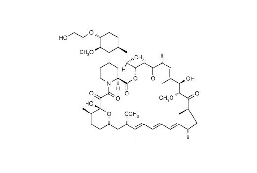 Chemical structure of everolimus.