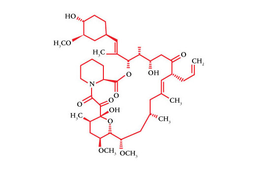 Structure of FK-506