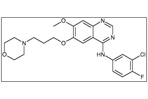 Chemical structure of gefitinib.
