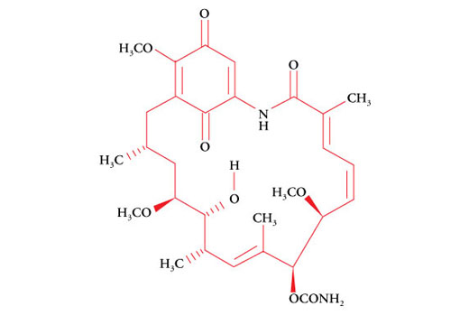 Structure of Geldanamycin